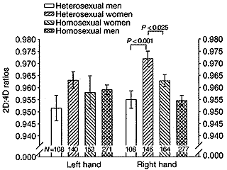 Digit ratio vs. orientation